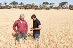 Grain marketing – opportunity to work with next generation